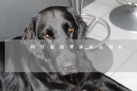 网贷逾期要求庭前调解 网贷逾期要求庭前调解