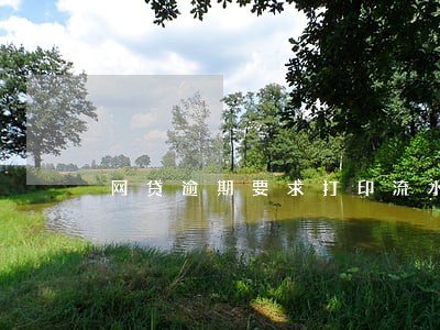 网贷逾期要求打印流水 网贷逾期要求打印流水