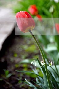 网贷逾期要求提供银行流水账单 网贷逾期要求提供银行流水账单