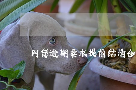 网贷逾期要求提前结清合法吗 网贷逾期要求提前结清合法吗