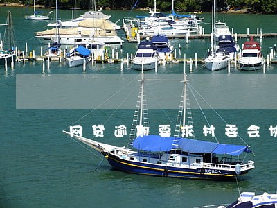 网贷逾期要求村委会协助 网贷逾期要求村委会协助