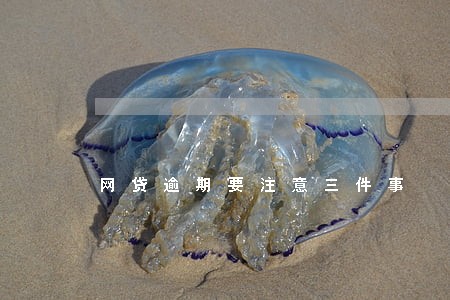 网贷逾期要注意三件事 网贷逾期要注意三件事