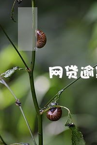 网贷逾期要清查财产