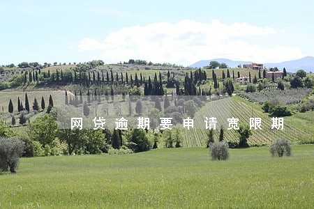 网贷逾期要申请宽限期 网贷逾期要申请宽限期