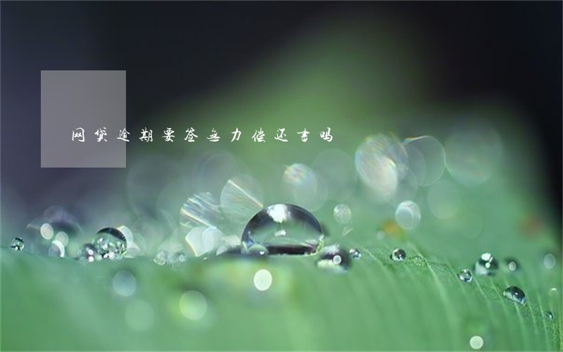 网贷逾期要签无力偿还书吗 网贷逾期要签无力偿还书吗