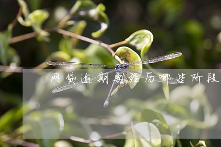 网贷逾期要经历哪些阶段 网贷逾期要经历哪些阶段
