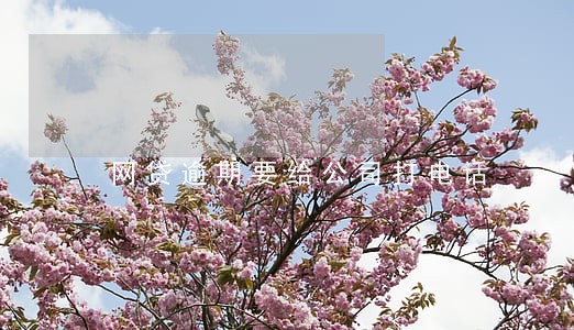 网贷逾期要给公司打电话 网贷逾期要给公司打电话