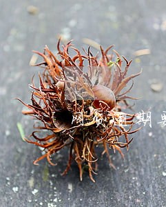 网贷逾期要继续还吗 网贷逾期要继续还吗