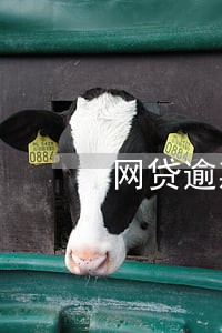 网贷逾期要走合同 网贷逾期要走合同