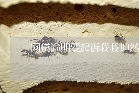 网贷逾期要起诉我我坦然了 网贷逾期要起诉我我坦然了