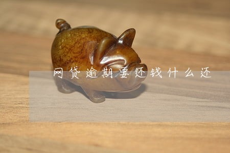 网贷逾期要还钱什么还 网贷逾期要还钱什么还
