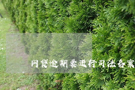 网贷逾期要进行司法备案 网贷逾期要进行司法备案