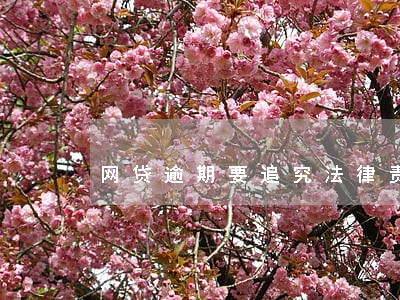 网贷逾期要追究法律责任吗 网贷逾期要追究法律责任吗
