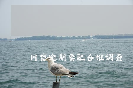 网贷逾期要配合谁调查 网贷逾期要配合谁调查