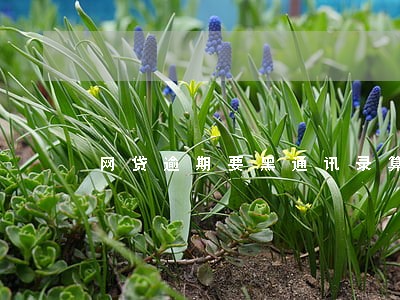 网贷逾期要黑通讯录算威胁么 网贷逾期要黑通讯录算威胁么