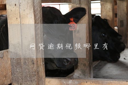 网贷逾期视频哪里有 网贷逾期视频哪里有