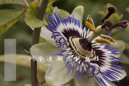 网贷逾期视频教程 网贷逾期视频教程