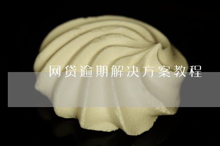 网贷逾期解决方案教程 网贷逾期解决方案教程