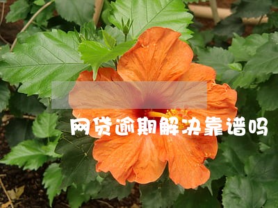 网贷逾期解决靠谱吗 网贷逾期解决靠谱吗
