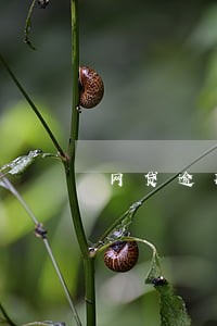 网贷逾期解除担保合同 网贷逾期解除担保合同