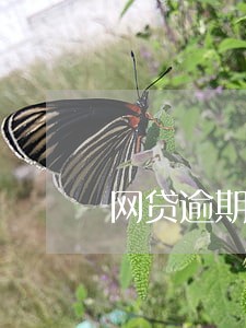 网贷逾期触犯刑法了么
