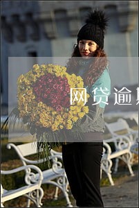 网贷逾期警告 网贷逾期警告