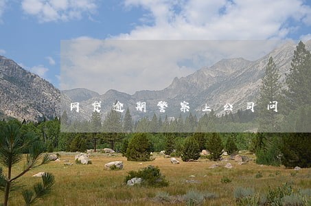 网贷逾期警察上公司问 网贷逾期警察上公司问