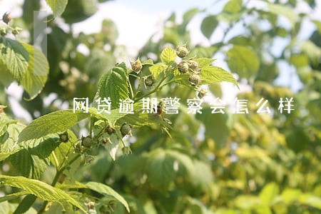 网贷逾期警察会怎么样 网贷逾期警察会怎么样