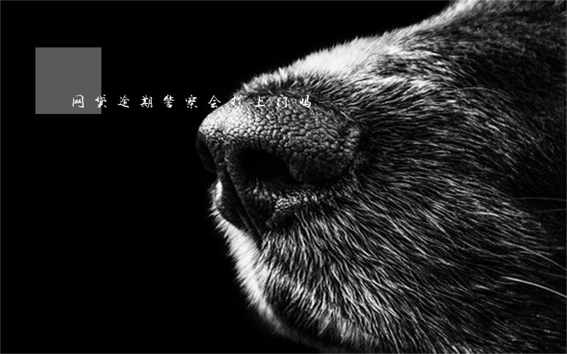 网贷逾期警察会找上门吗 网贷逾期警察会找上门吗