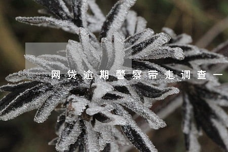 网贷逾期警察带走调查一般多久 网贷逾期警察带走调查一般多久