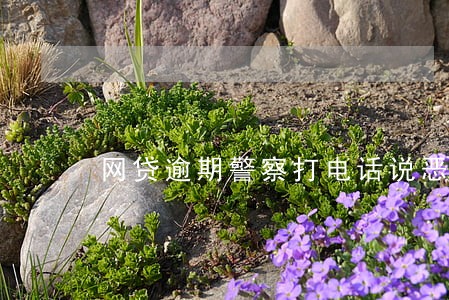 网贷逾期警察打电话说恶意骗贷