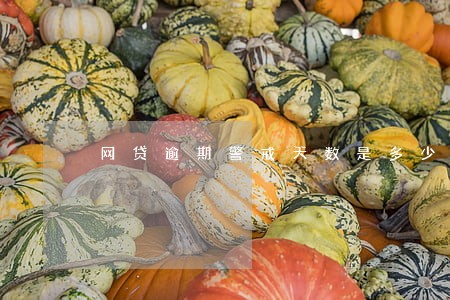 网贷逾期警戒天数是多少 网贷逾期警戒天数是多少