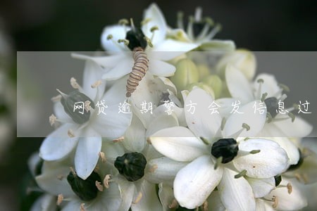 网贷逾期警方会发信息过来吗
