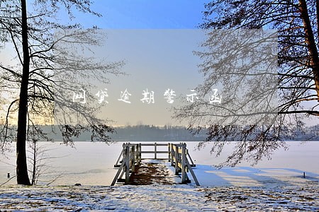 网贷逾期警示函 网贷逾期警示函