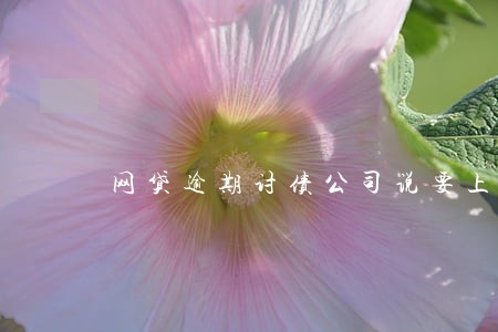 网贷逾期讨债公司说要上门 网贷逾期讨债公司说要上门
