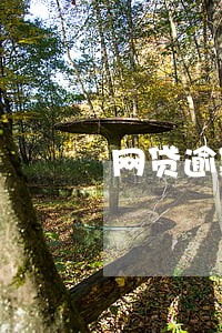 网贷逾期讨论区