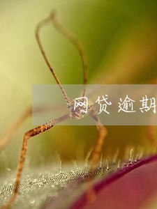 网贷逾期讨论强制群 网贷逾期讨论强制群
