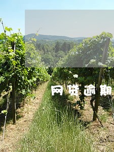 网贷逾期讨论微信群 网贷逾期讨论微信群