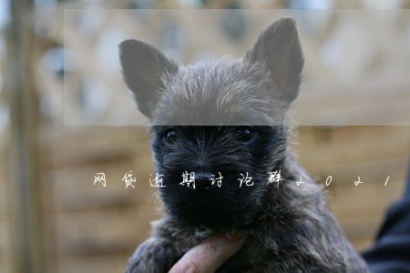 网贷逾期讨论群2021 网贷逾期讨论群2021