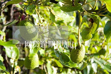 网贷逾期让加qr 网贷逾期让加qr