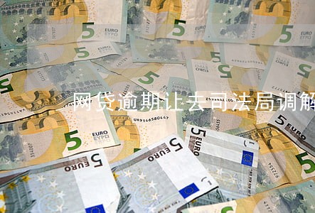 网贷逾期让去司法局调解