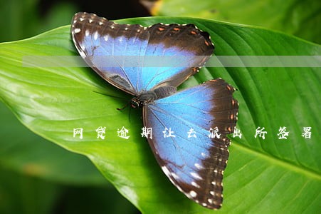 网贷逾期让去派出所签署材料 网贷逾期让去派出所签署材料