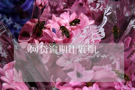 网贷逾期让展期 网贷逾期让展期
