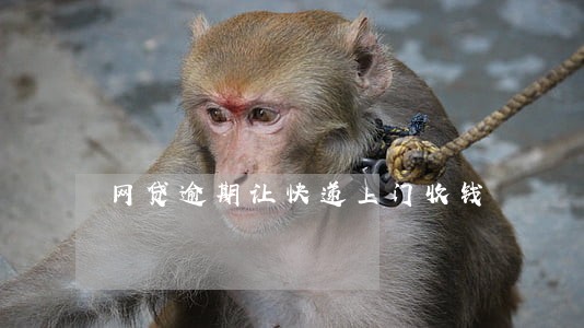 网贷逾期让快递上门收钱 网贷逾期让快递上门收钱