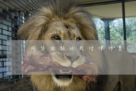 网贷逾期让我付律师费 网贷逾期让我付律师费
