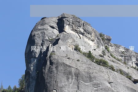 网贷逾期让我去参加庭审 网贷逾期让我去参加庭审