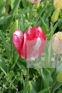 网贷逾期让我去派出所自首 网贷逾期让我去派出所自首