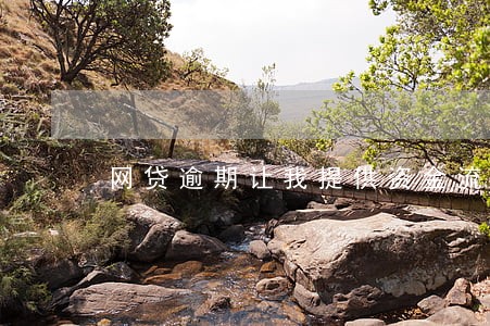 网贷逾期让我提供资金流水 网贷逾期让我提供资金流水
