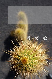 网贷逾期让我提供身份证号码 网贷逾期让我提供身份证号码