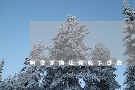 网贷逾期让我私下还款 网贷逾期让我私下还款